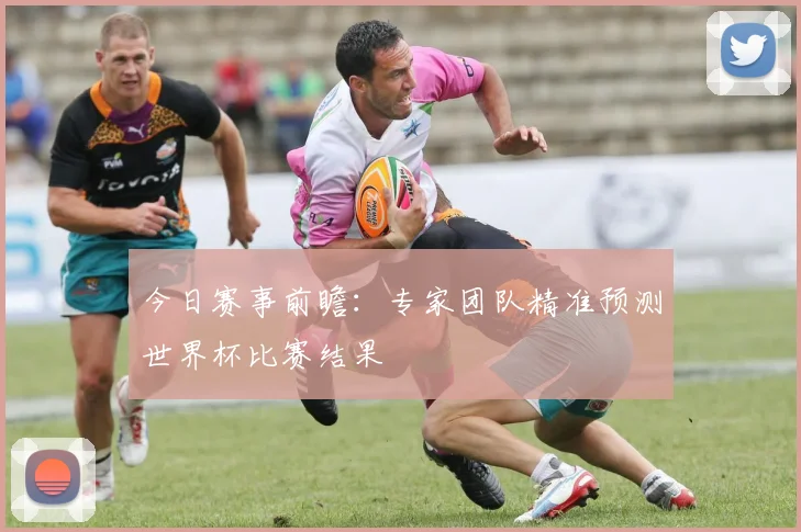 今日赛事前瞻:专家团队精准预测世界杯比赛结果