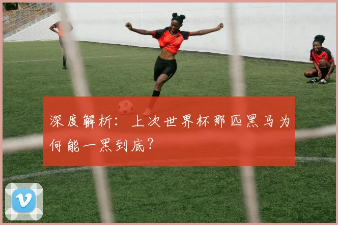 深度解析:上次世界杯那匹黑马为何能一黑到底?
