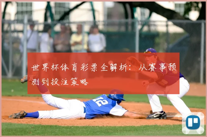 世界杯体育彩票全解析：从赛事预测到投注策略