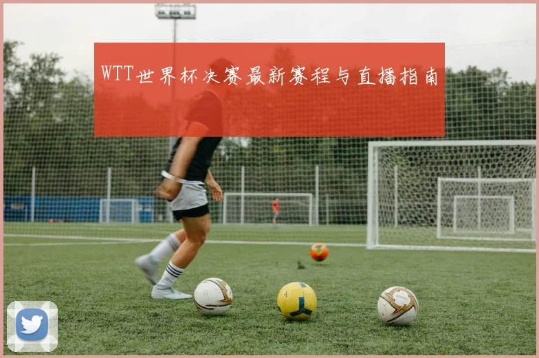 WTT世界杯决赛最新赛程与直播指南